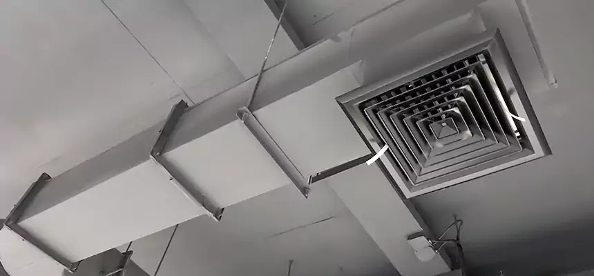 Our Pest Removal From Ducts Services in Saco, ME