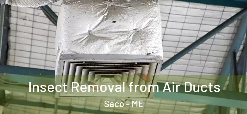  Insect Removal from Air Ducts Saco - ME