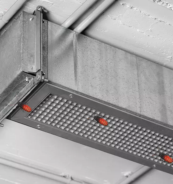 About Air Duct Cockroach Removal in Saco, ME