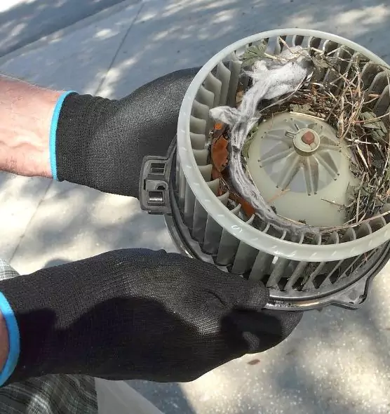 About Air Duct Mice Removal in Saco, ME