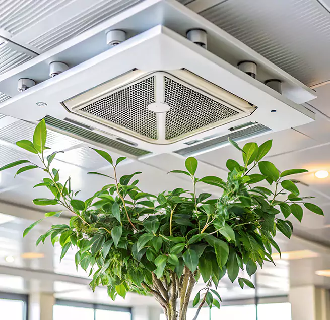 Why Homeowners & Businesses Trust Us in Saco, ME?